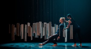 Dancenorth: Thread